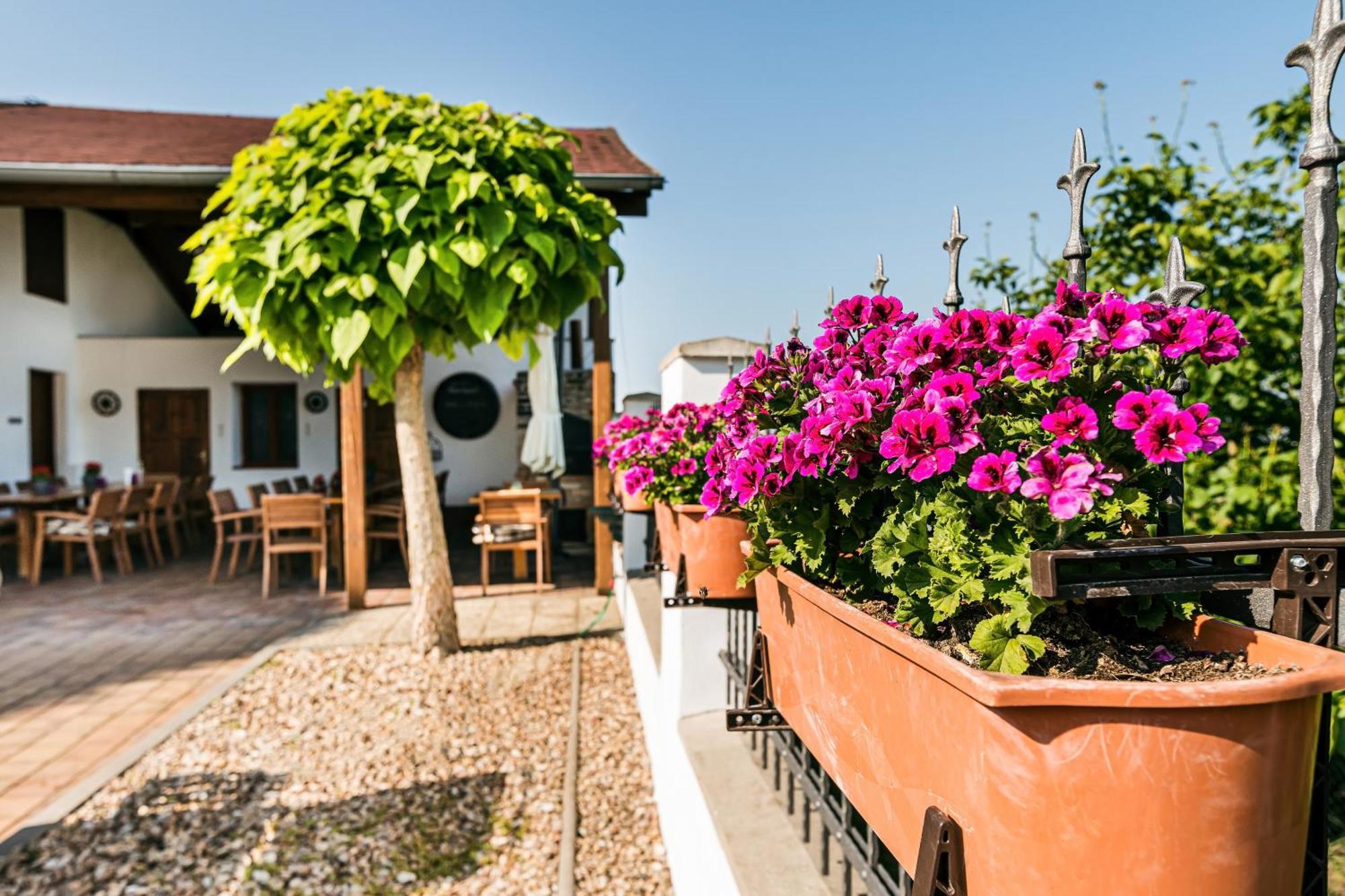 Resort Kovacs Novosedly  ภายนอก รูปภาพ